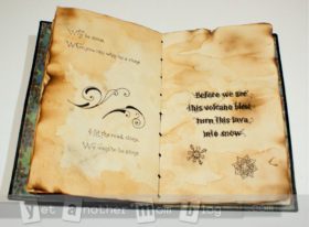 Wizard Wand & Spell Book DIY Halloween Costume Accessories & Props