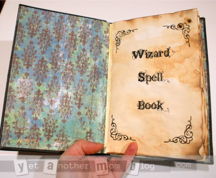 Wizard Wand & Spell Book DIY Halloween Costume Accessories & Props